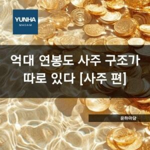 억대 연봉도 사주 구조가 따로 있다 - 사주 편