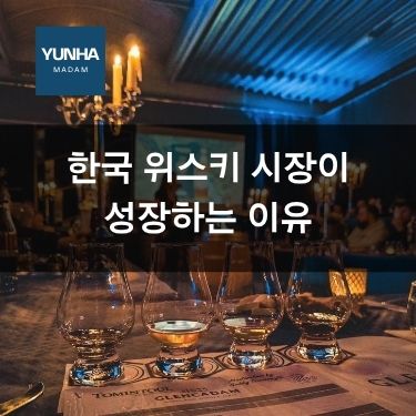 한국 위스키 시장이 급성장하는 이유