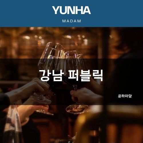 강남 퍼블릭 | 윤하실장 가격·시스템·후기·예약 안내