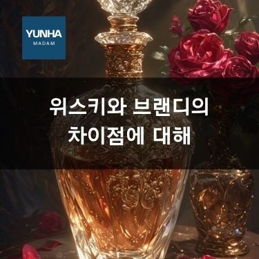 위스키와 브랜디의 차이점에 대해